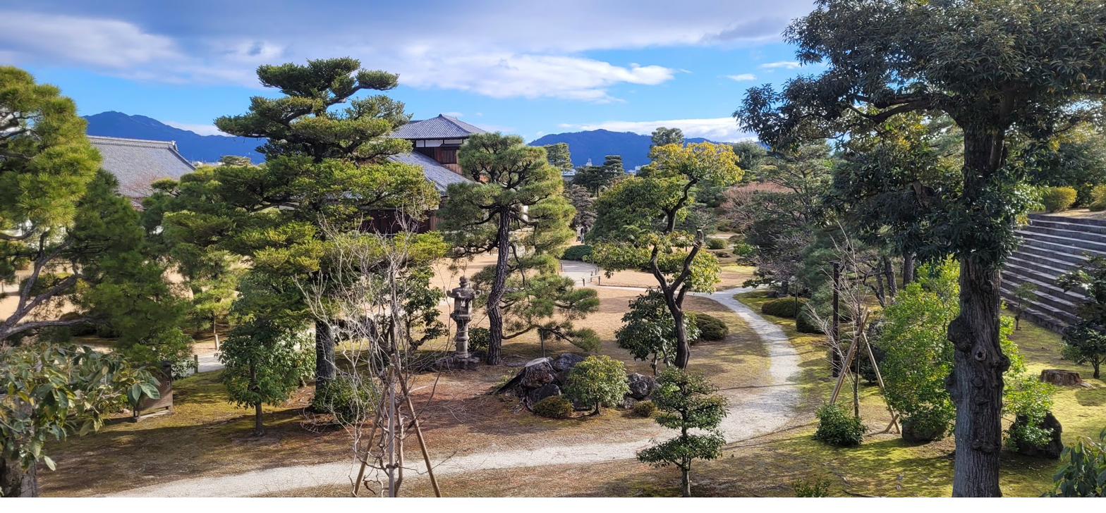 Trained niwaki pines in a classical Japanese garden with historic building backdrop