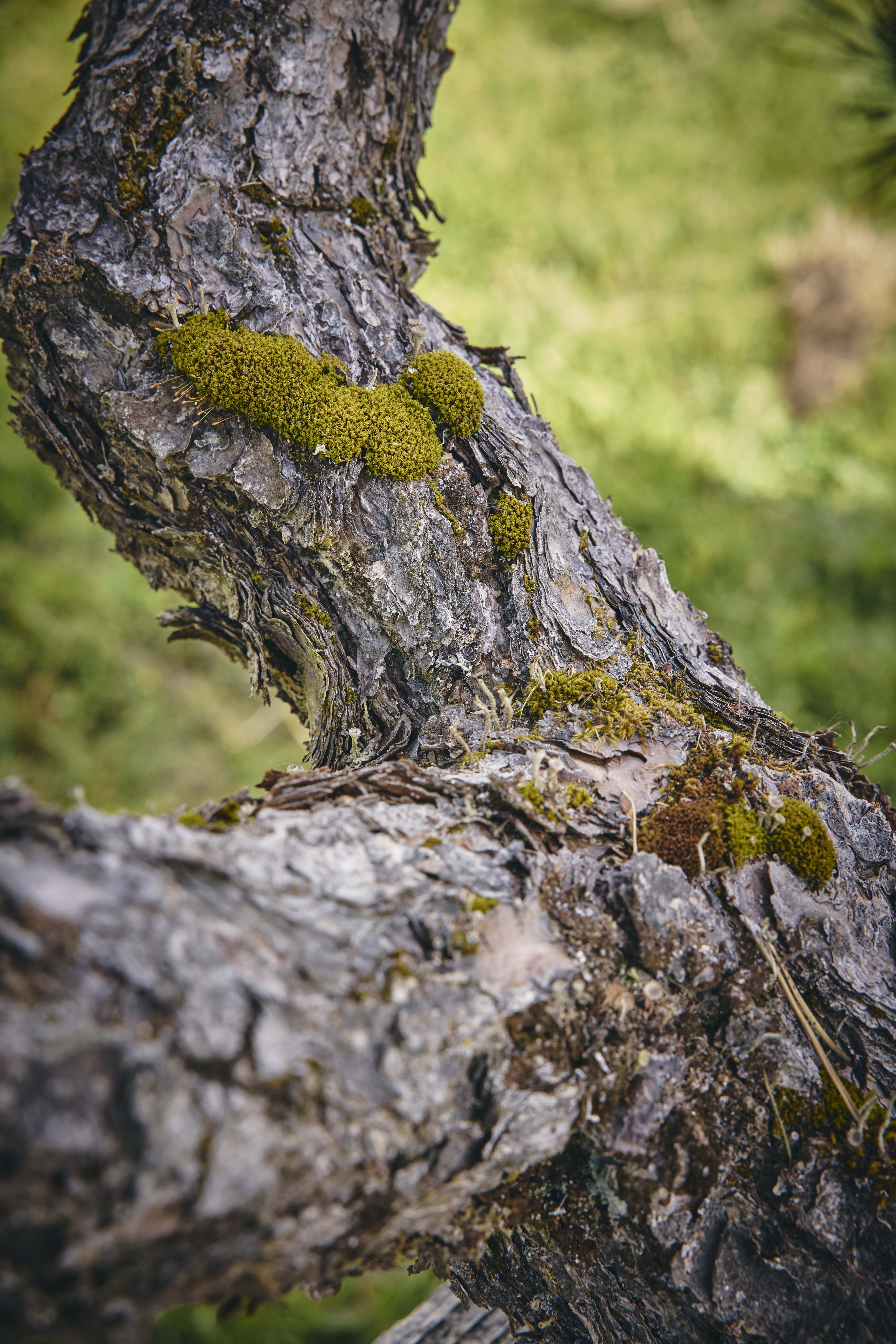 No. 10 — branch detail