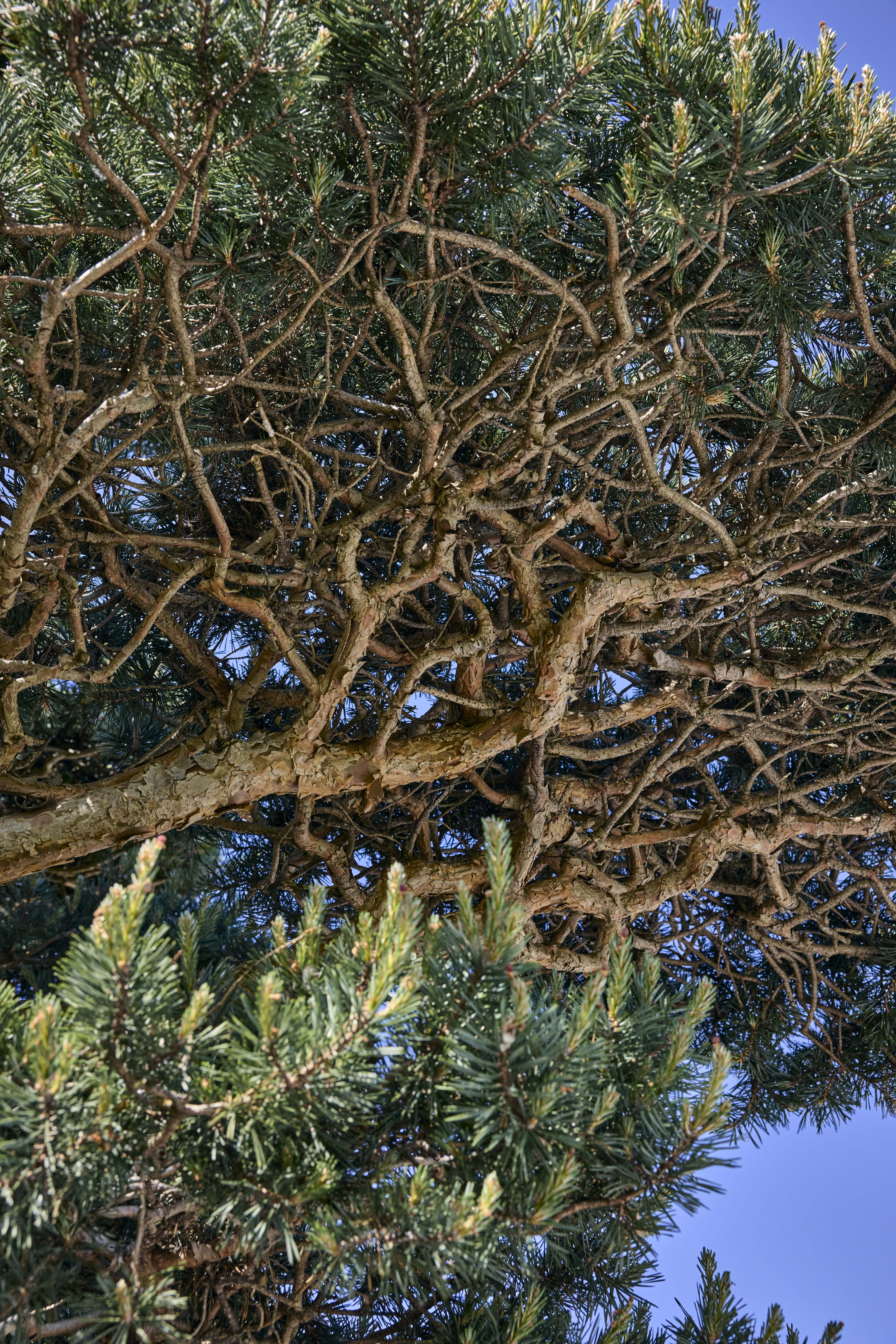 No. 06 — detail