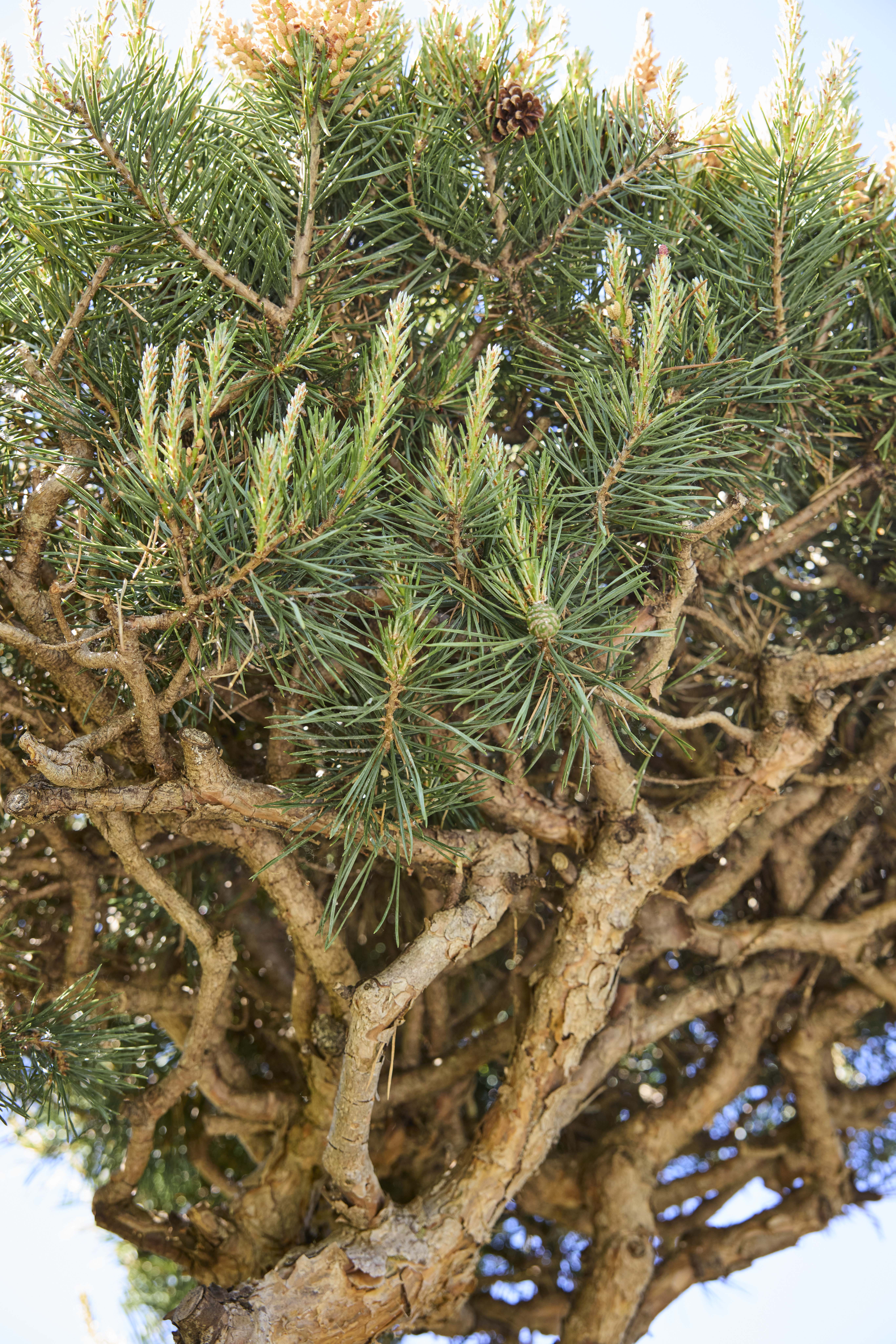 No. 07 — detail